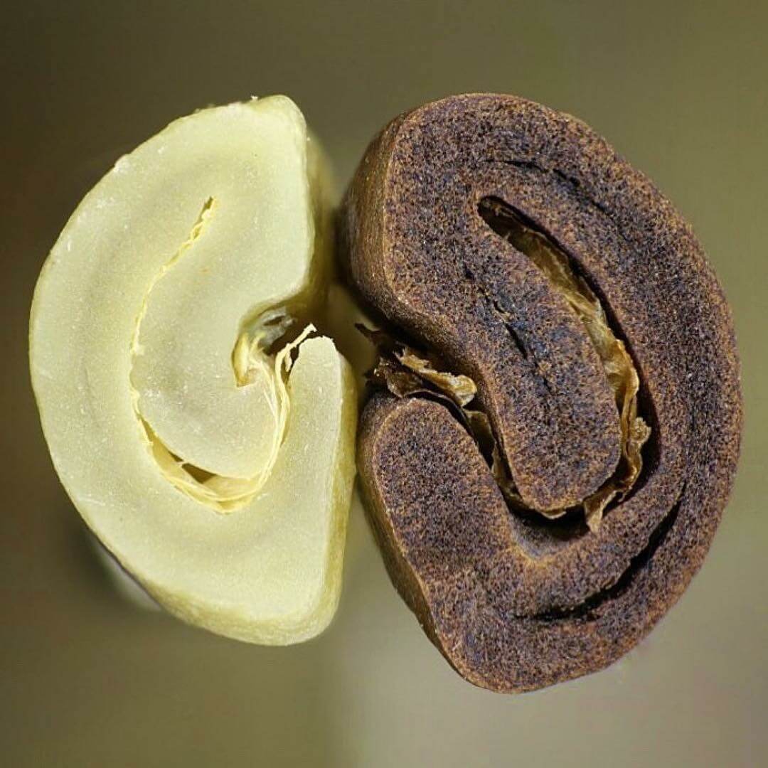 Dunkle und weiße Kaffeeröstungen,Kaffeebohnen, Kaffeeröstungen, Kaffeeröstung