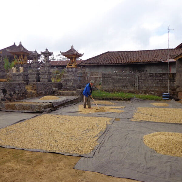 Linea Rossa Indonesien Bali Paradise – Bild 3