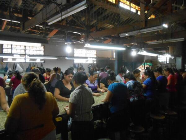 Linea Rossa El Salvador Bourbon Honey – Bild 4